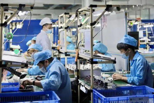 三服務(wù)三保障,火炬區(qū)支持企業(yè)快速?gòu)?fù)工復(fù)產(chǎn)